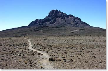 The view heading towards Mwenzi Peak