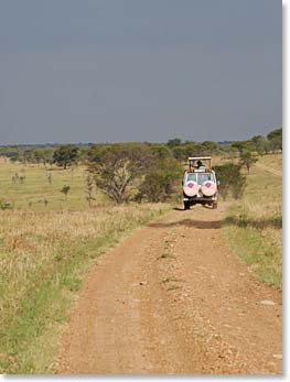 Our BAI jeep headed out on safari.