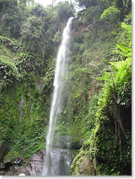 The waterfall we hiked to today.