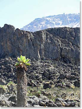 The Barranco Wall