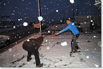 Playing in the freshly fallen snow