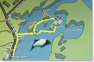 The map of our boat trip and penguin tour