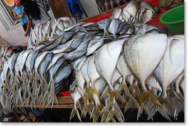 Everything from fresh fish….
