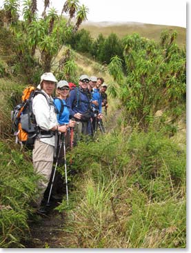 The lower trail was through lush grassland.