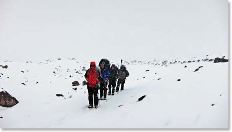 The team going up the road on their way to the first cabin.