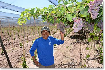 Sergio, from Bolivia, enjoys seeing the grapes of Mendoza