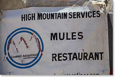 We think they mean that you can rent mules and eat in their restaurant, not that they serve mules in their restaurant.