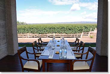 The seating for our first tasting of the day was gorgeous, with the vineyards of Pulenta Estates right at our table.