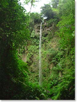 The waterfall we visit is a breathtaking sight