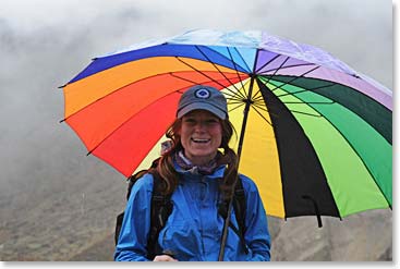 Sara pulled out her umbrella when the rain picked up.