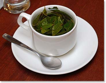 Coca leaf tea is a popular drink in Bolivia.