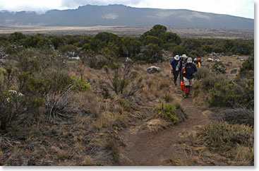 Today we left the forest behind us as we moved up the trail.