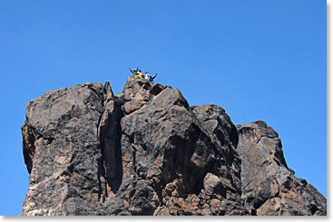 On top of the Lava Tower after an exhilarating afternoon scramble