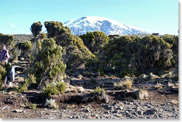 When we looked back at Kilimanjaro, we were impressed by how far away it looks and by how far we had come.