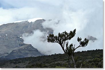 Goodbye Kilimanjaro