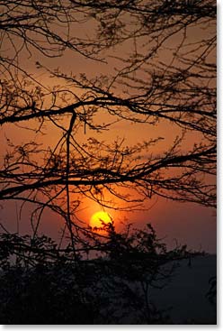 Serengeti sunrise