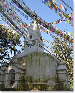 Prayer flags cover the trees around the Monkey Temple