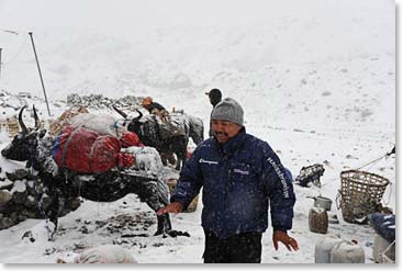 Temba helping get the loads ready in the snow