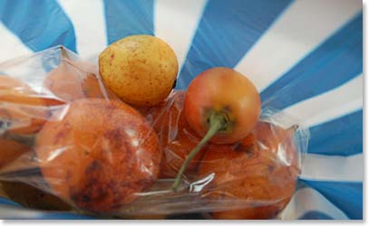 Joaquin bought this local fruit for the team to try