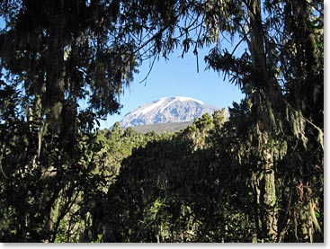 Kilimanjaro awaits. The climb begins tomorrow!