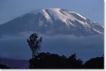 Approaching Kilimanjaro on the drive.