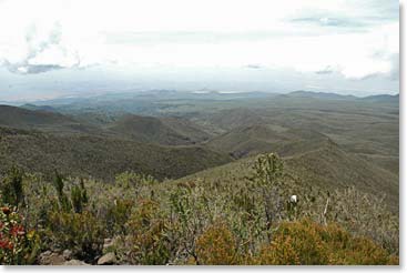 Looking across the African plains