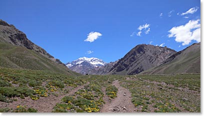 Goodbye Aconcagua