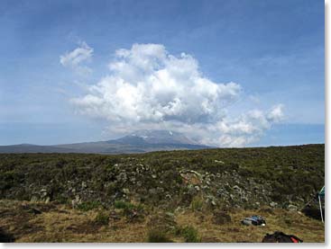 Out of the forest and onto the wide open plains. Kilimanjaro lies ahead.