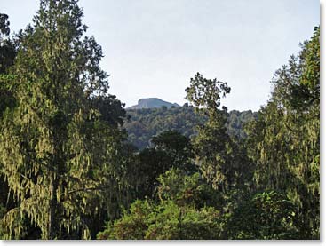 We got a glimpse of the mountain ahead through the trees.