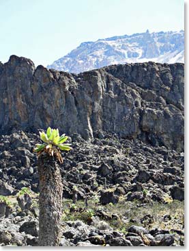 Approaching the Barranco Wall