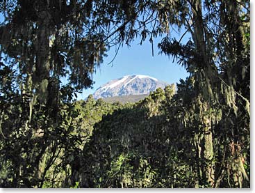 Looking back at Kilimanjaro