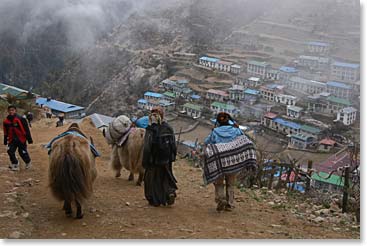 Traders descending the trail into Namche. Tomorrow morning in Market Day!