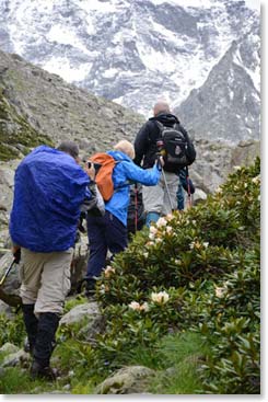 We started in the forest but we climbed more than 2,000ft/609m