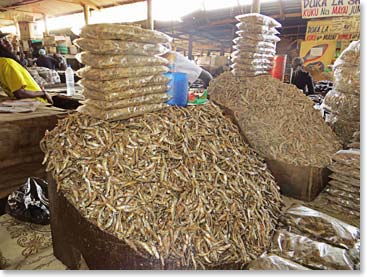 Sardines anyone? Eric told us the best sardines come from Lake Tanganyika, not Lake Victoria.