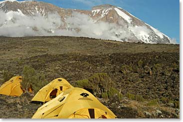 Shira Camp, our Camp II on the mountain