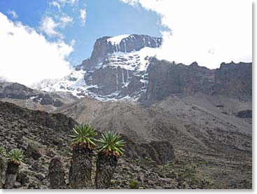 We are getting closer to the top of Africa. On our way to high camp, Kosovo Camp.