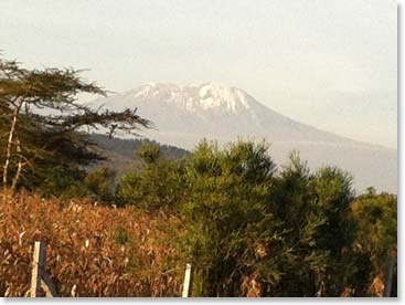 Amazing views of Kilimanjaro along the highway