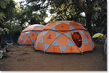 The dining tents at big tree camp