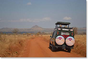 In the morning we left Tarangire, still keen to enjoy this classic African landscape.