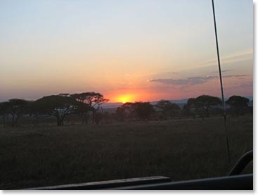 Tarangire Sunset