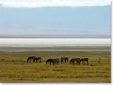 Inside Ngorongoro Crater