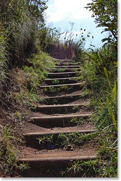 The trail is really well maintained – steps were made due to the mud.