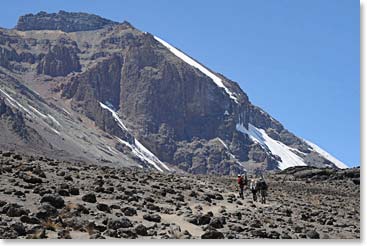 A closer view of the beauty around Moir Camp