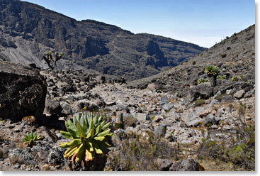 Up close and personal with the Barranco Wall