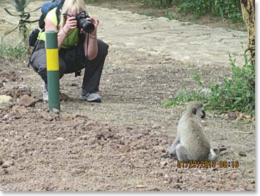 Terri taking photos of the fun monkeys!