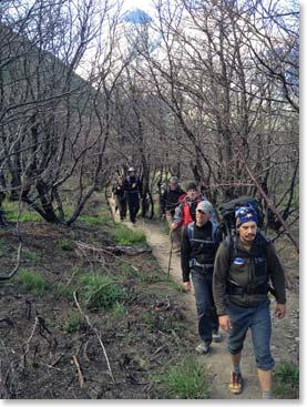 We hiked through a recent burn forest