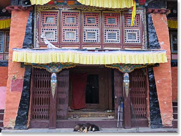 Monastery was guarded by a typical Sherpa monastery dog. He was having a pretty lazy day.