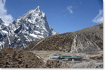 Our picnic yesterday was in a yak field just behind the lodges at Thukla, at 15,100ft/4,602m.