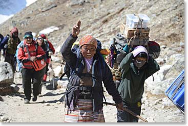 Nim Phuti is always just behind the yaks, keeping them in line.