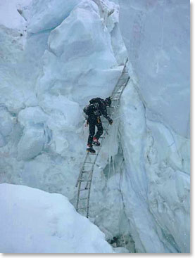 Looks like the Sherpas had Toru make a ladder! Ha ha! 